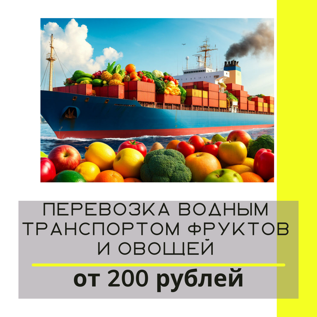 ���������������� ������������������, �������������� ����������������������������, �������������� ������������������ ������������, �������������� ������������������, ������������