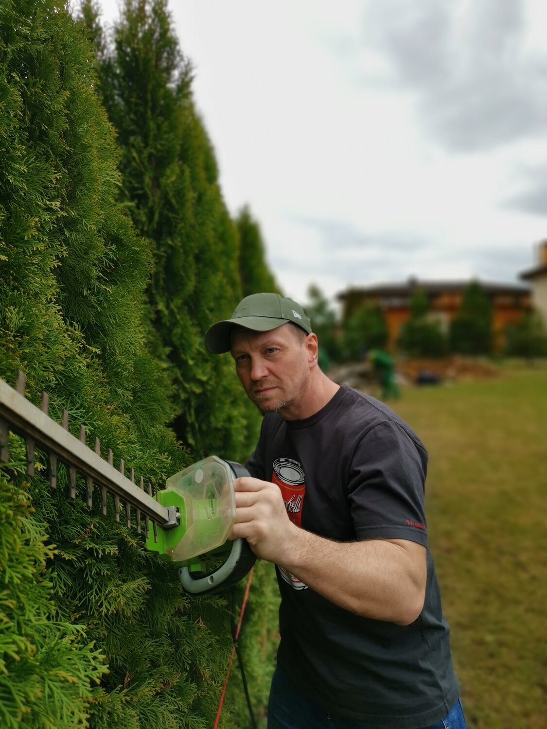 hedge trimmer, ���������������� ������������, cutting hedge, �������������� ������������, ����������������