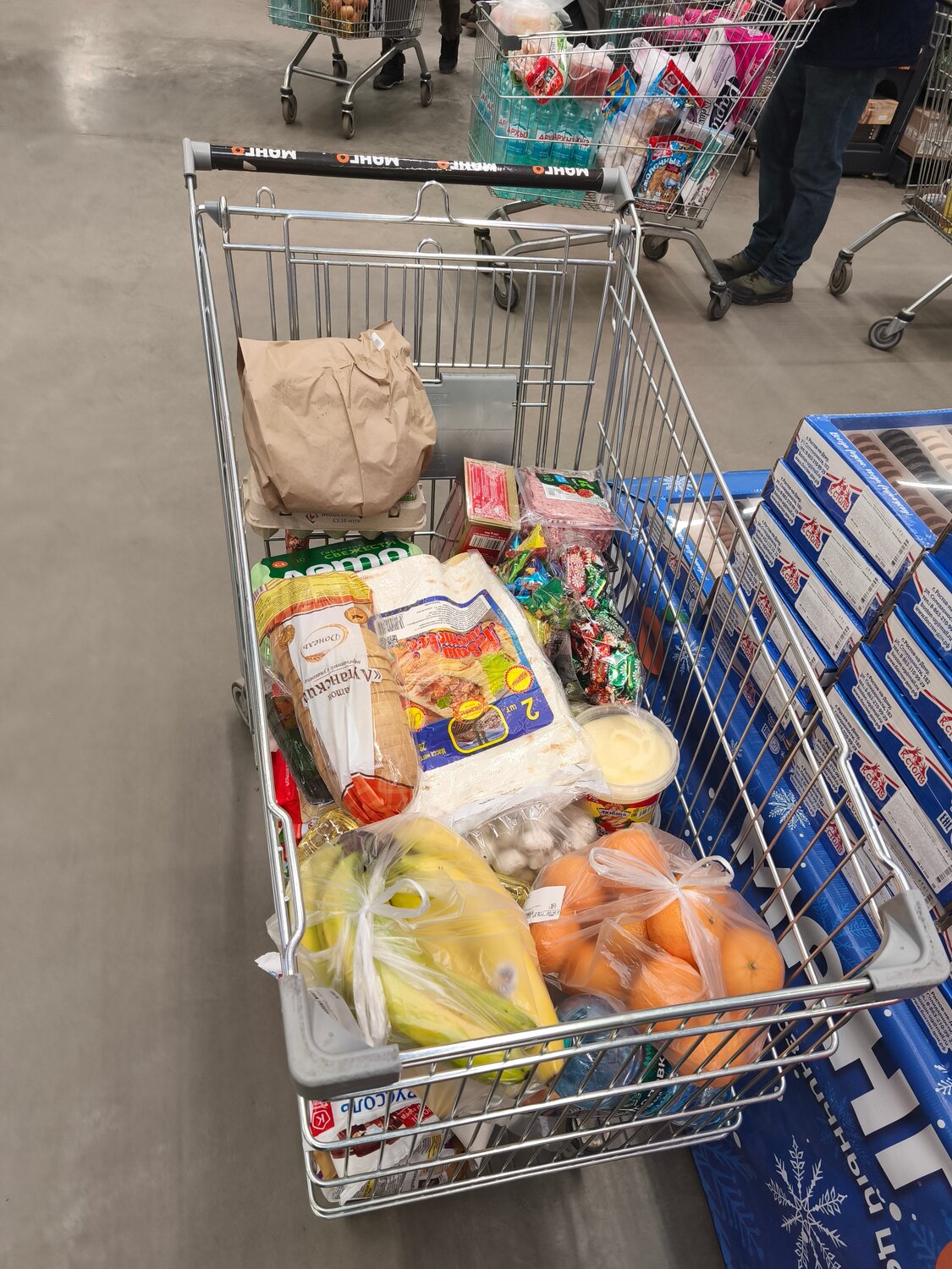 ����������������, grocery shopping, �������������� ����������������������, �������������� ������������������, ���������������������� ��������������