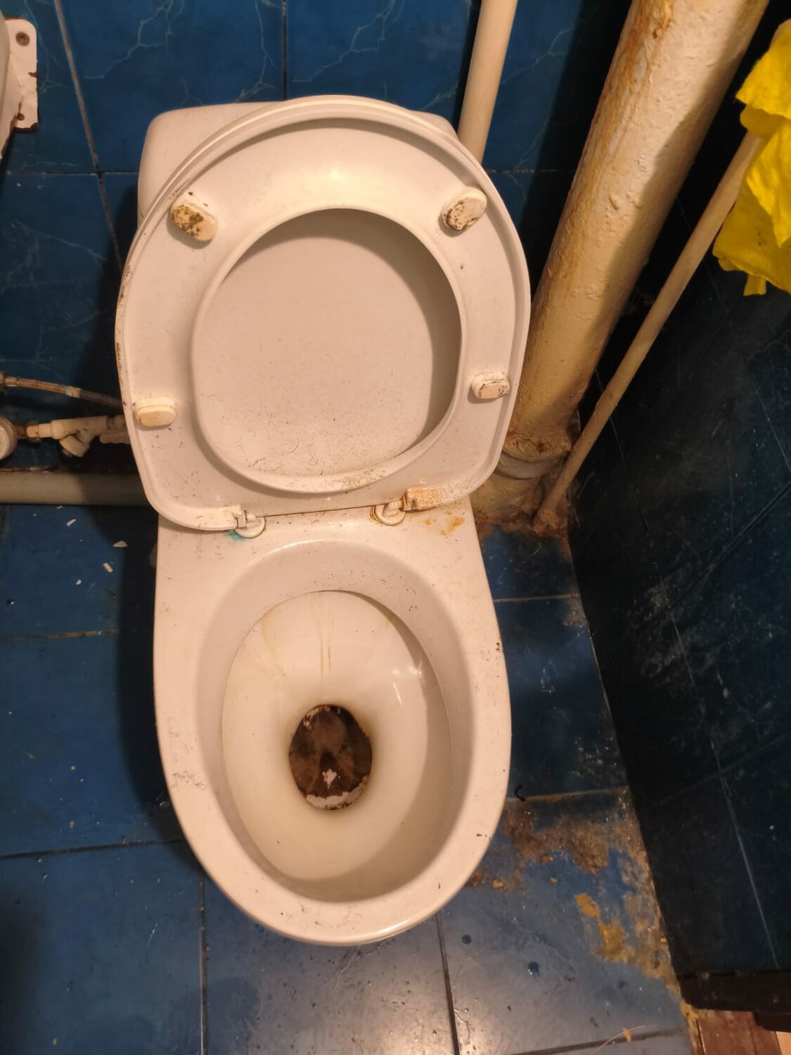 ������������, ������������, ������������ ����, ������������ ������������, ������������ ��������������