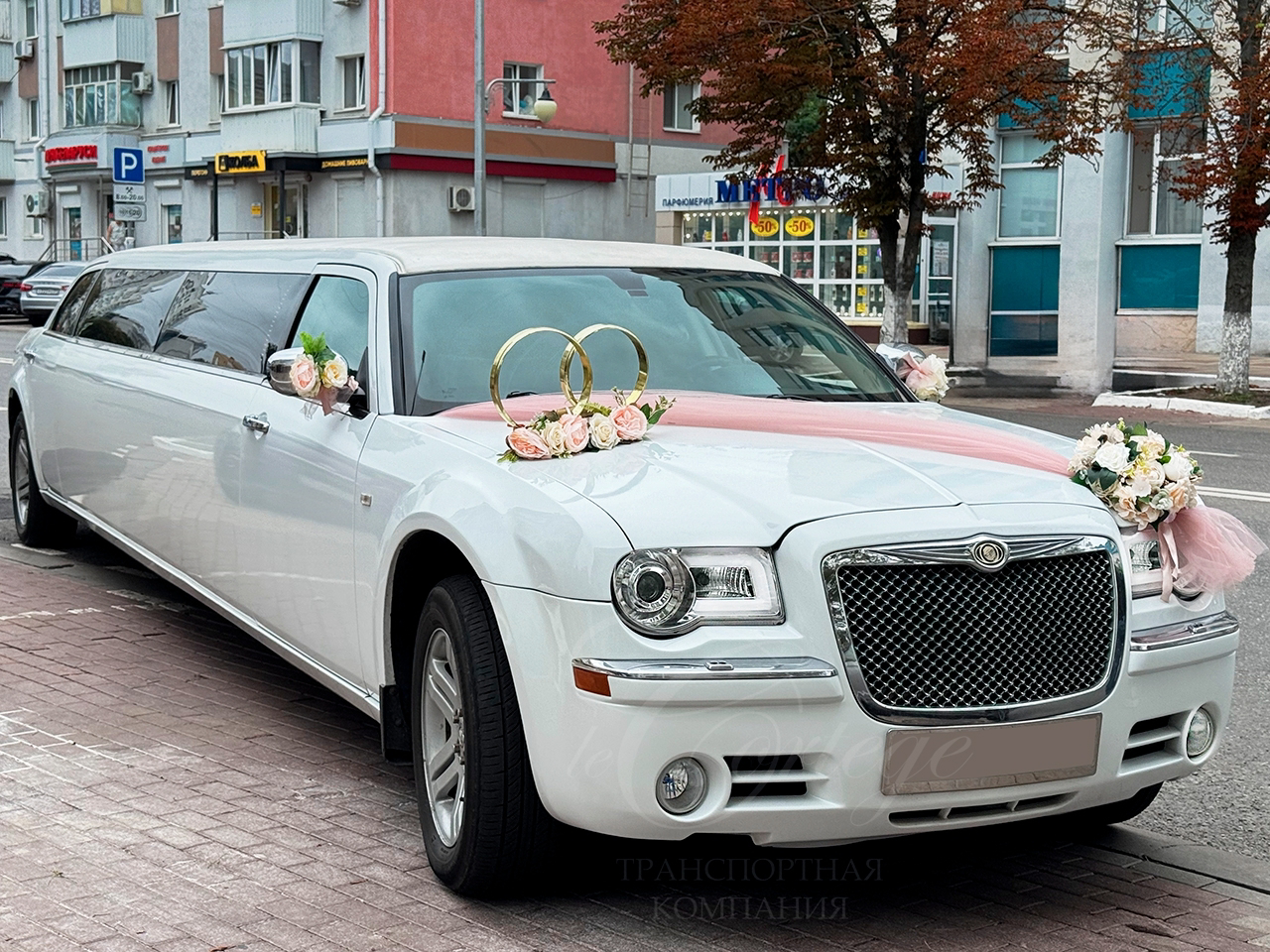 �������������� chrysler 300 c, �������������� ����������������, ���������������� 300 �� ��������������, �������������� ���� ��������������, Chrysler 300C I