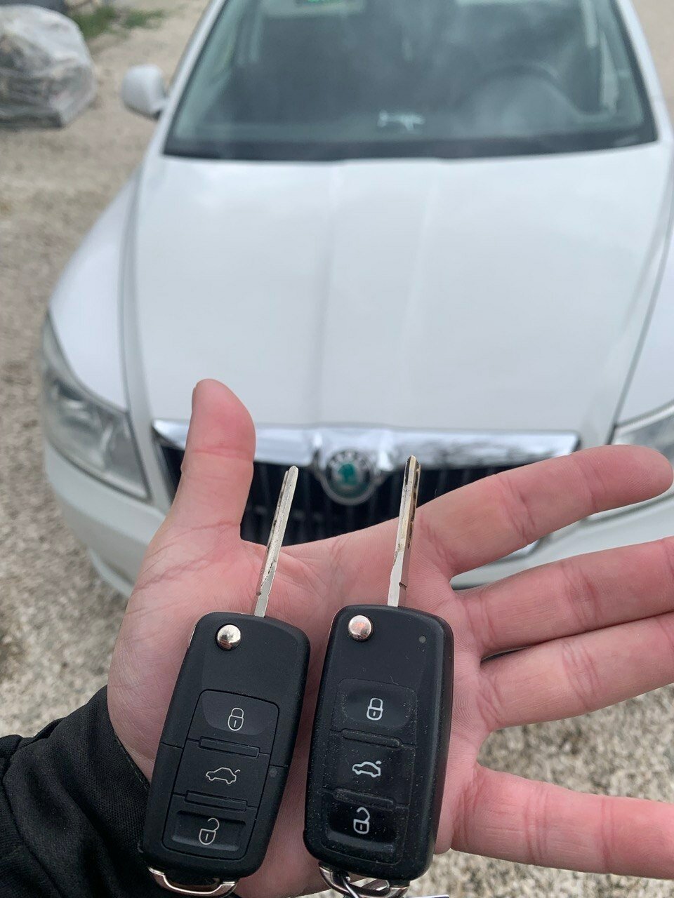 �������� ����������, skoda octavia a 5, ������������ ������ ���������� ������������������ skoda, ���������� �������������� �� 5, ������������������������ �������� ���������� �������������� ��5