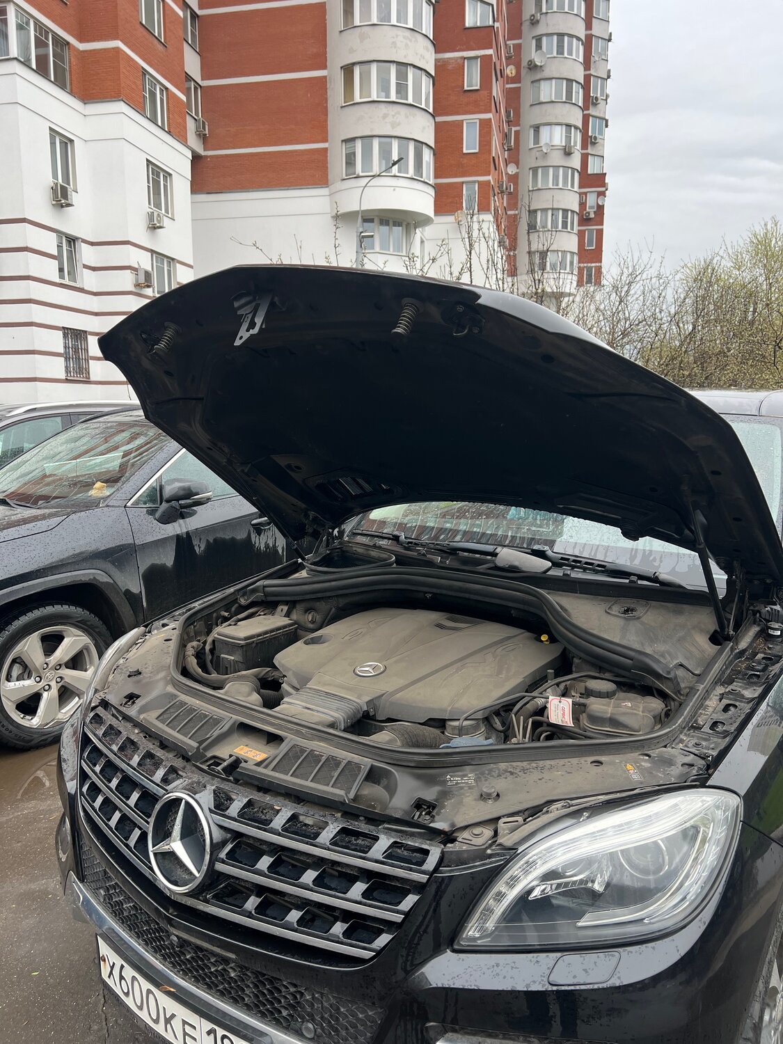 mercedes benz gl, ���������������� gl x 164, mercedes benz gl 500, mercedes benz gls 450, mercedes benz gl ����������