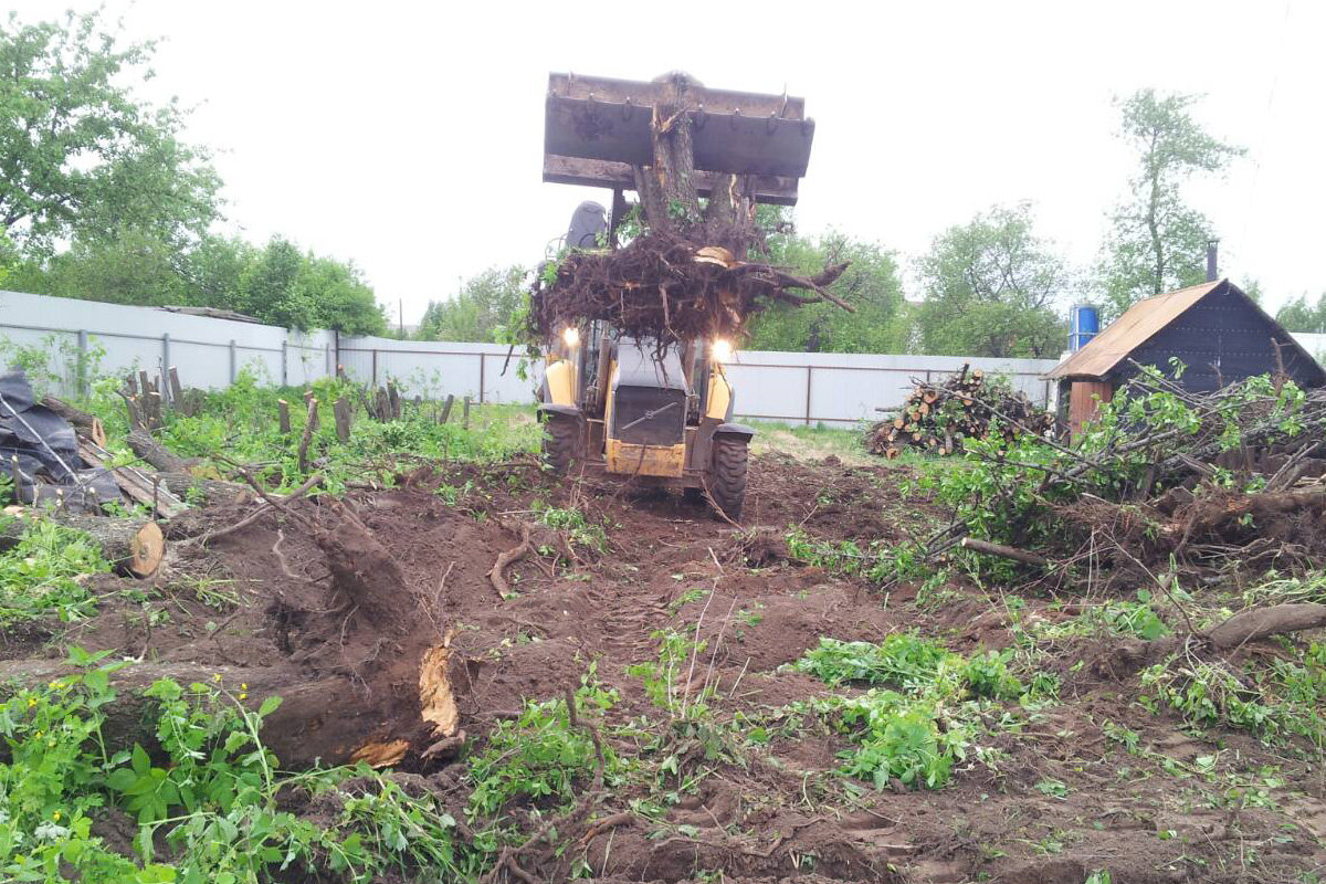 Профессиональная очистка участка от мусора в Воронеже – вывоз отходов