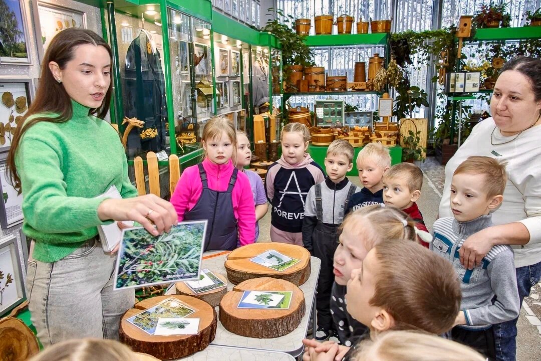 музей леса красноярск академгородок, в музее, краеведческие музеи, музеи для детей, музей леса красноярск