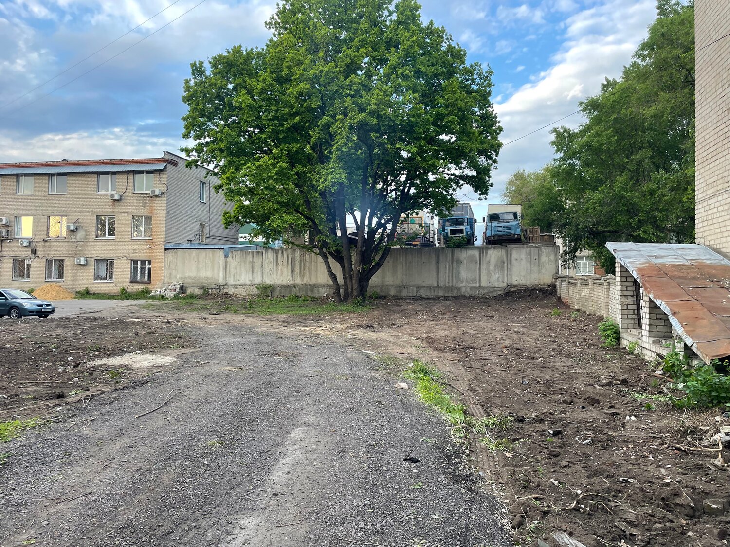 здание, на улицы, жилой дом, памятники природы, quercus robur