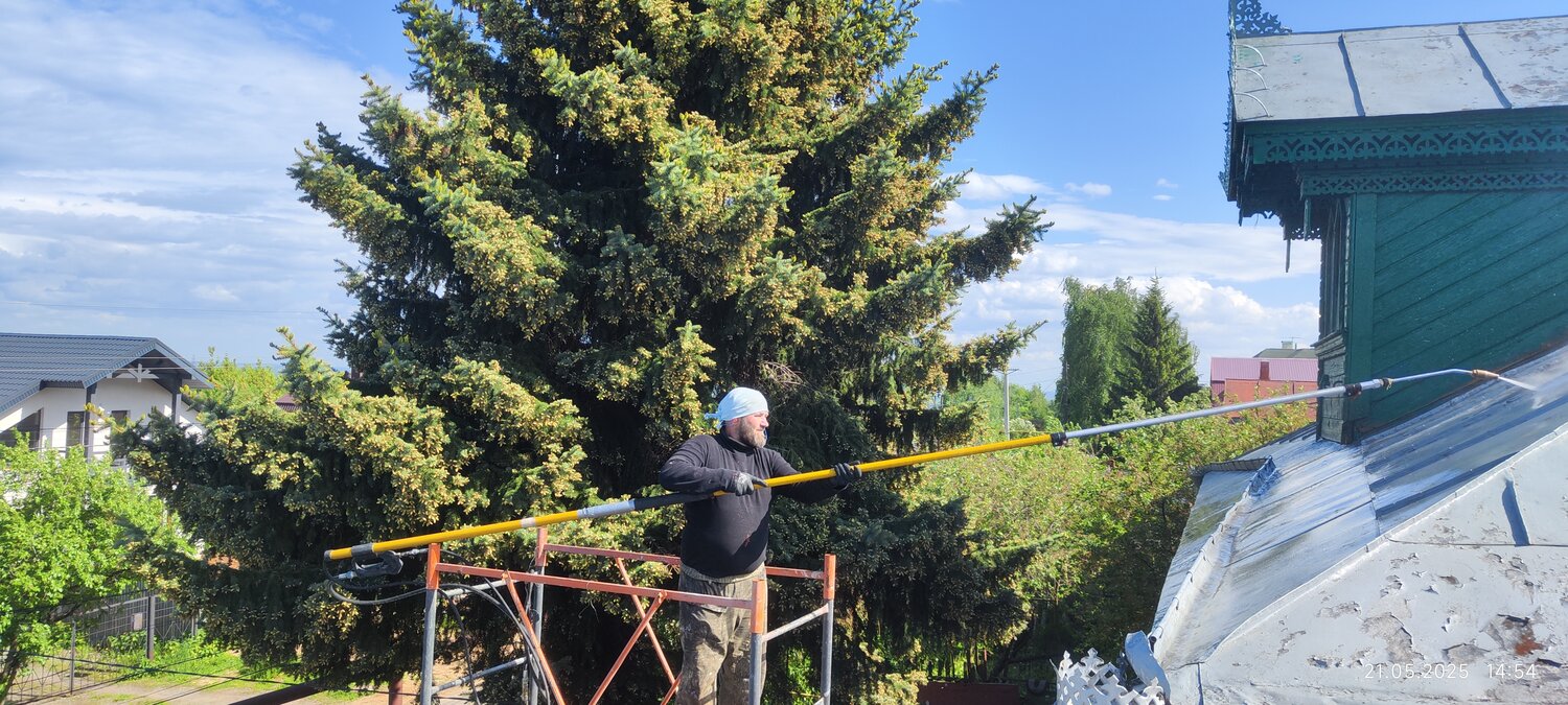 высокие деревья, дерево, стрижка туи смарагд весной, tree removal, участка