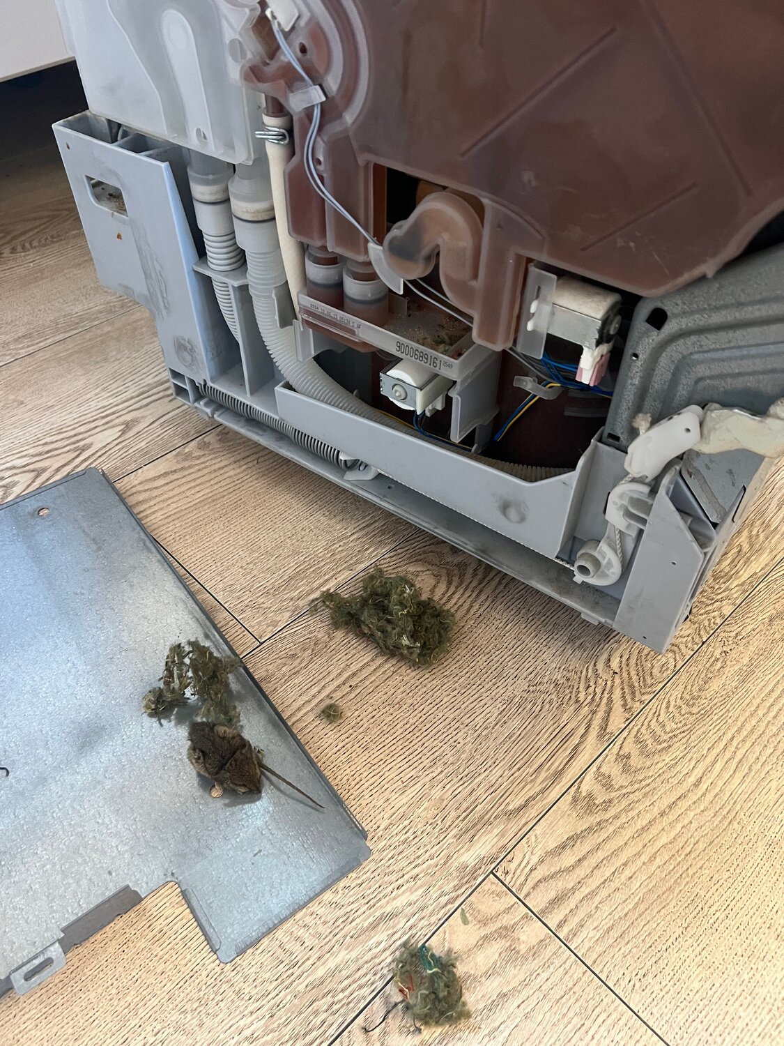 �������������������������� ������������ bosch, ���������������������� ������, �������������������������� ������������ ������, �������������������������� ������������ bosch �������������������������� ������������, �� 24 ���������������������� ������