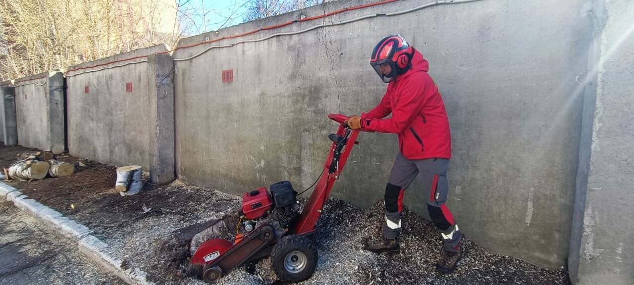 ������������������������ ��������, ���������������� ������ ������������, stump grinder, ���������������� ��������, ������������������������ ����������