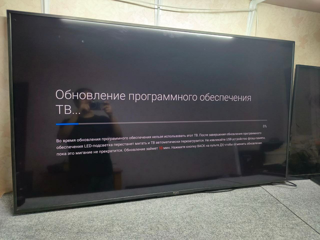 ������������������, �������������������� ��������������, ��������������������, ������������������ ���������� ����, �������������������� ������ �������������������� kivi ���� ����������