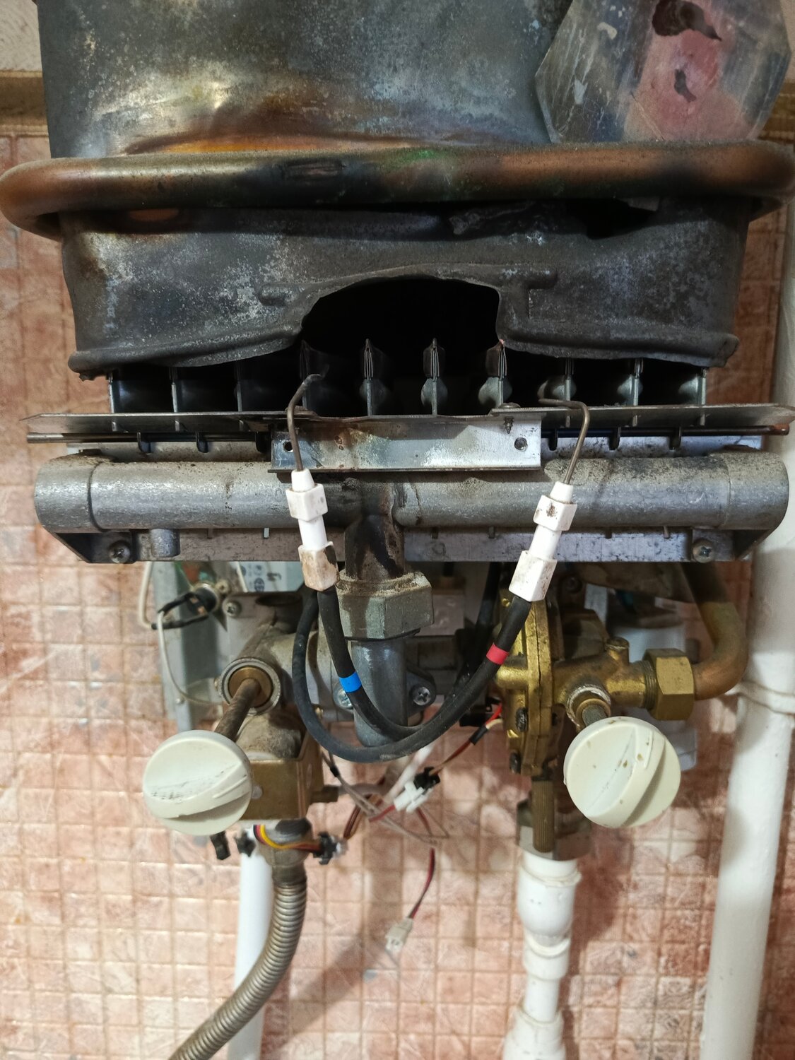 �������������� ��������������, ���� �������������������� �������������� ��������������, �������������� �������������� ��������, �������������� �������������� �������� 4511, ������������ ���������������� ����������