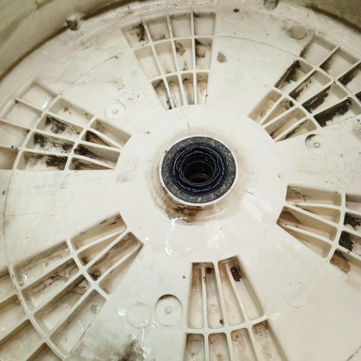 подшипник в стиральной машине, барабан стиральной машинки, замена подшипника в стиральной машине, бак стиральной машины, барабана стиральной машины lg