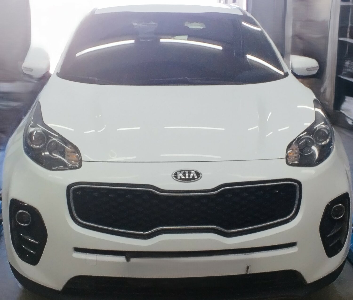 киа спортейдж 4, kia sportage 2016, kia sportage 2017, kia sportage 4, Kia Cee'd GT
