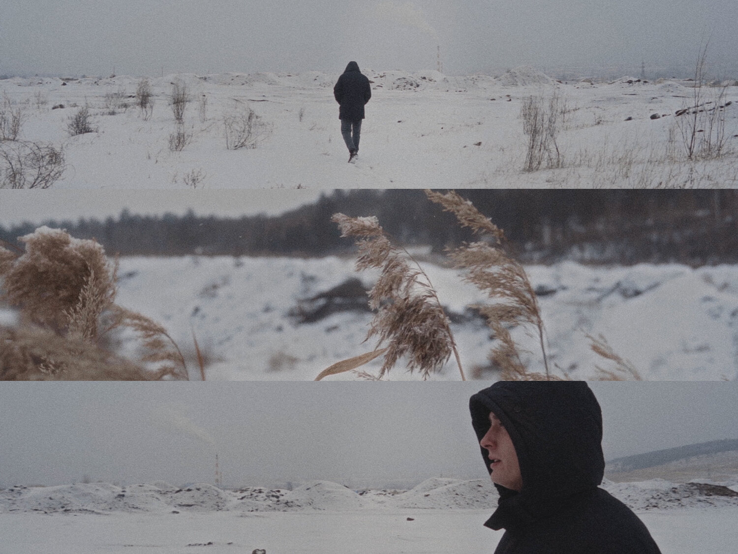 winter portraits, ����������, winter winter, ������������, ����������������������