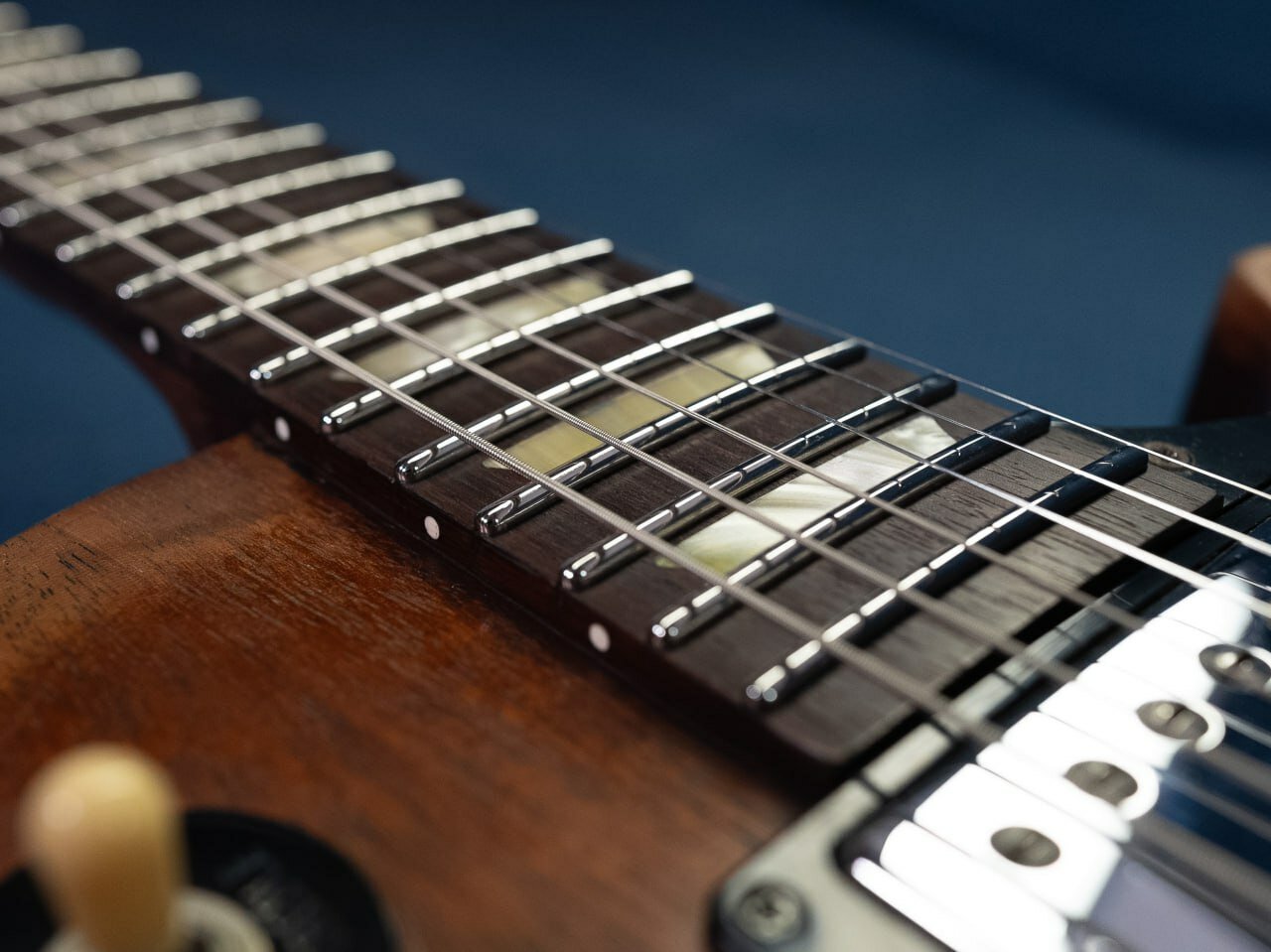 ���������������� ������������, �������� ������������, prs guitar, �������� ���� ��������������������������, ������������ ������������