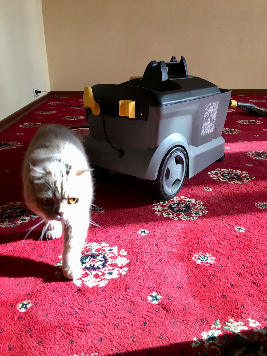 ������������ �������������� karcher puzzi 10 1, ������������ �������������� karcher puzzi 10, ������������ �������������� karcher, �������������� karcher puzzi 10, �������������� karcher