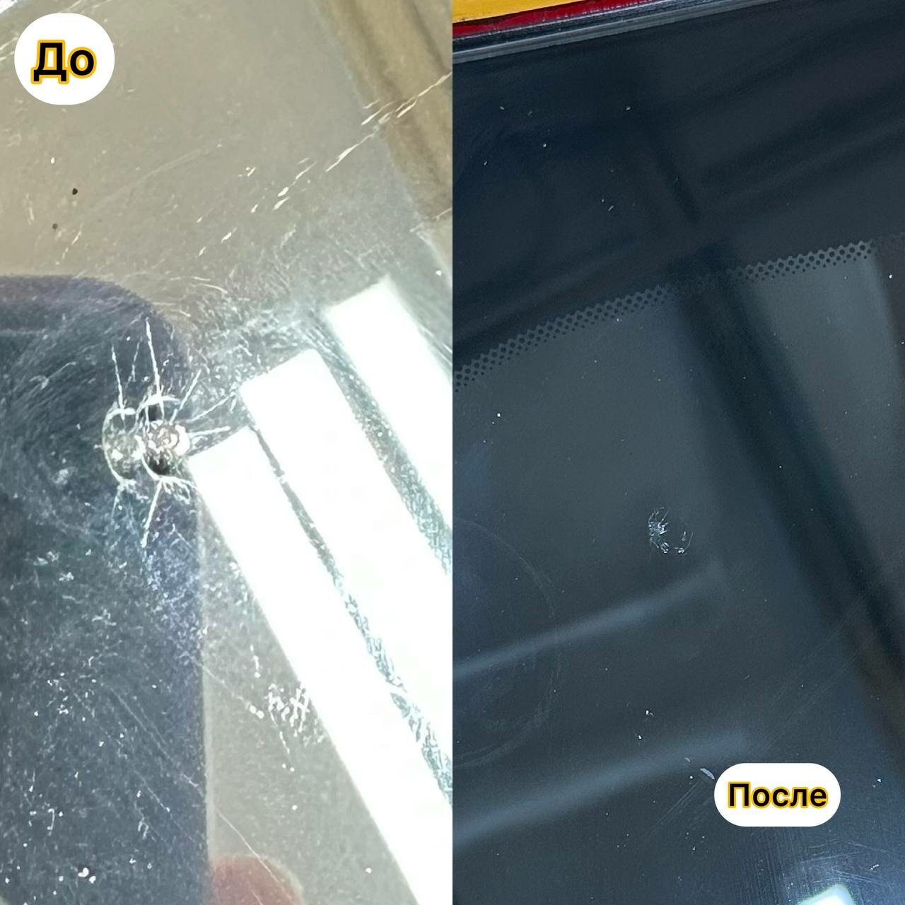 ������������������ ���������������� ������������ ���� ��������������, ������������ ������������ ���� �������������� ������������, �������� ���������������� ������������, ������������ ���������������� ������������, �������������� �� �������������� ������������