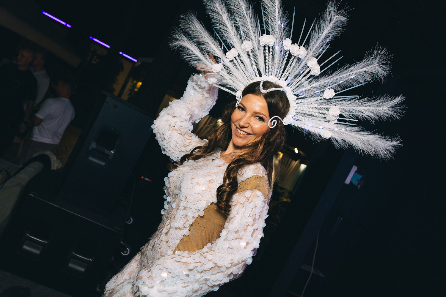 ���������� ������ ������������������, ��������������, ������������������, ������, ������ ����������