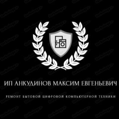 ИП Анкудинов Максим Евгеньевич