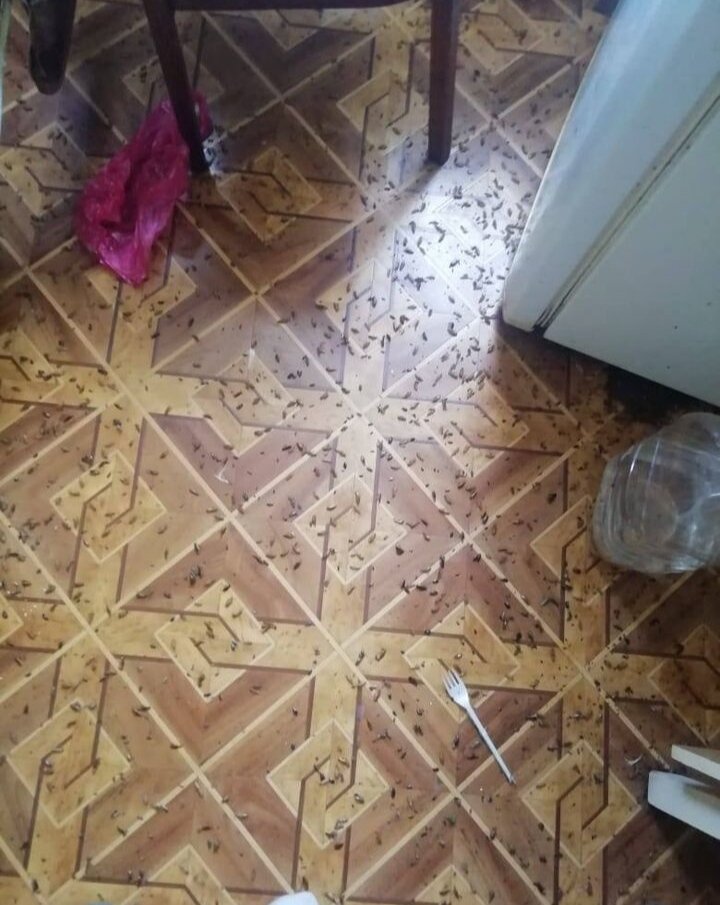 ������������ ���������������������� �������������������� ���������� ���������� ���� ���������������� ������������ ����������, ������������, ����������������, ���������������� ��������, �������� ������������