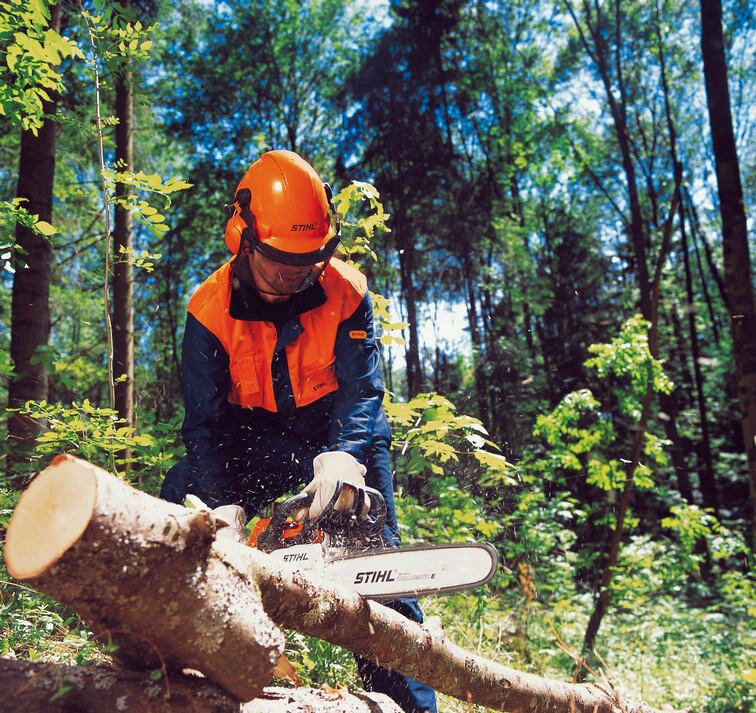 �������� ���������������� ���������� ����������, stihl ms 260, stihl ms 362, ���������� ���������������� �������������������� ������������, ������������������ stihl