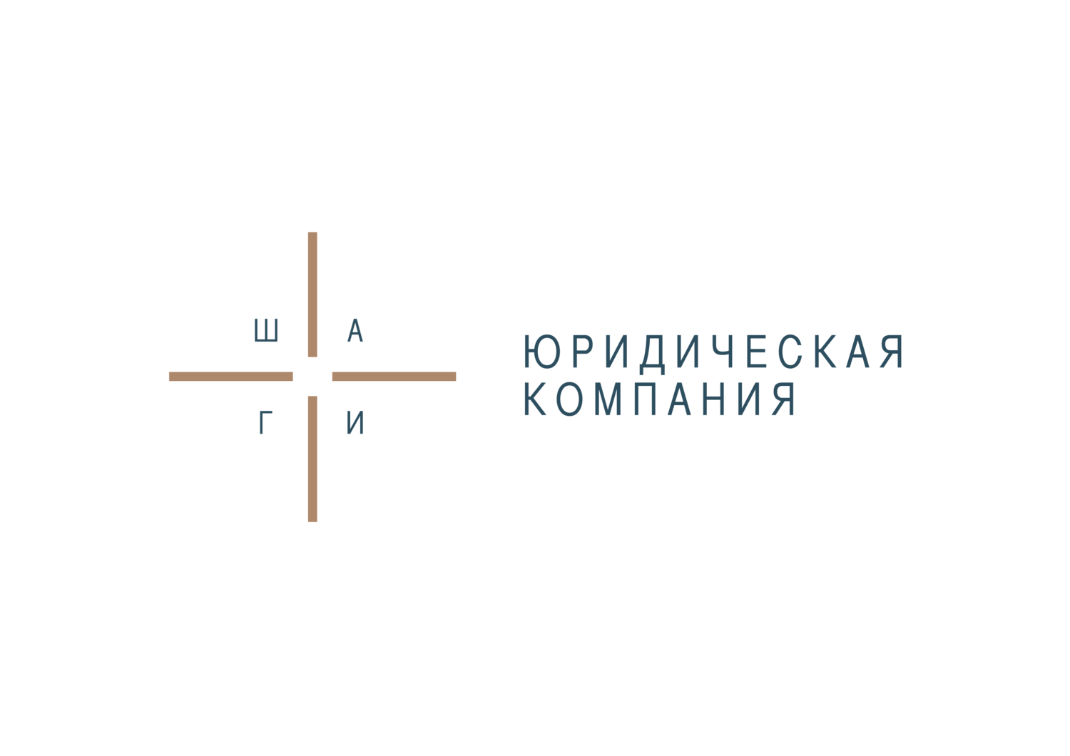  ШАГИ