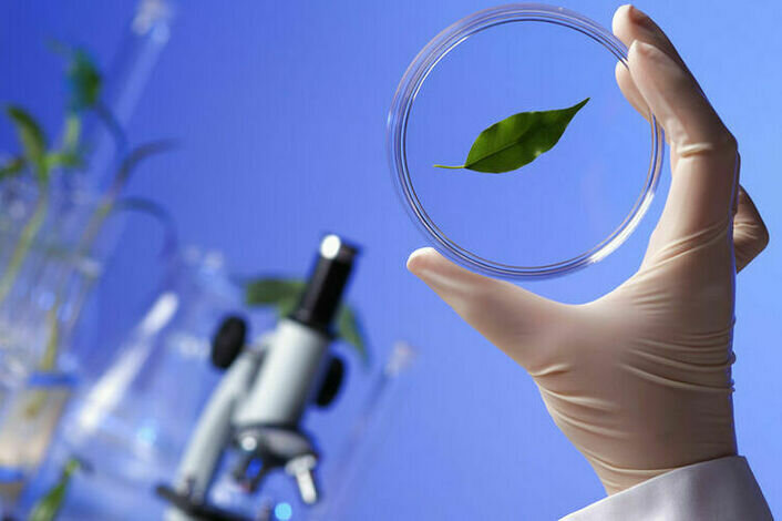 экологическая биотехнология, биотехнология, biotechnology, биолог, руками биолог