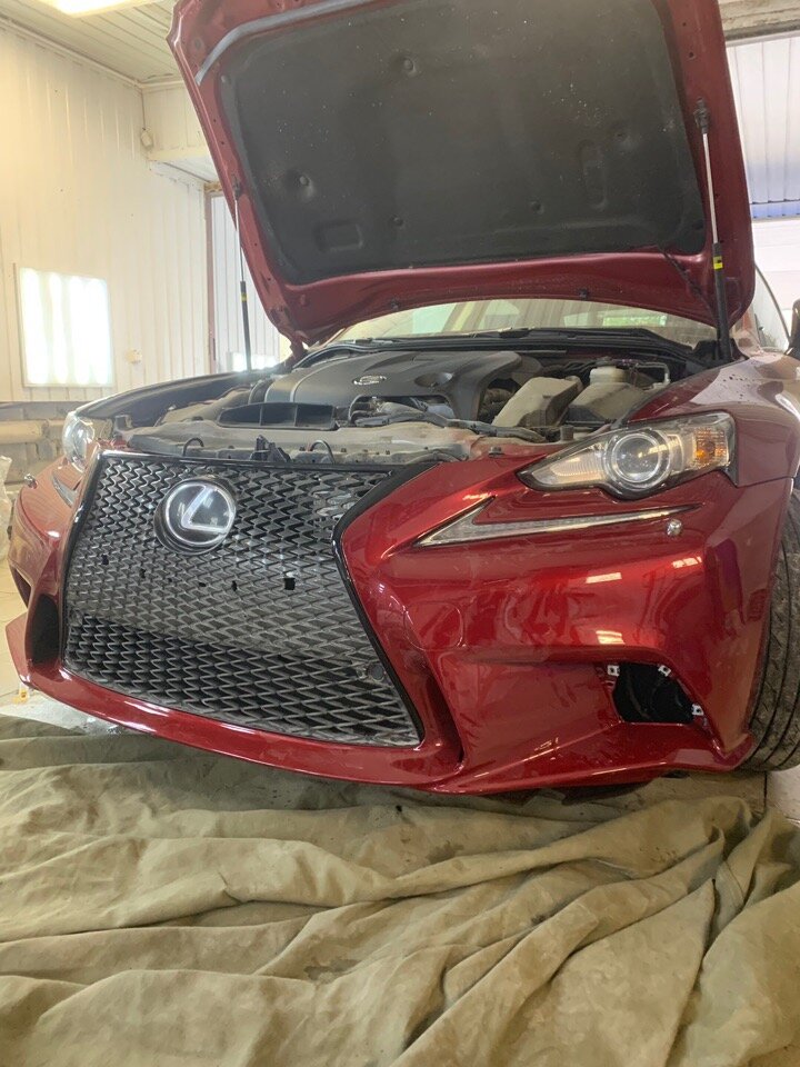 автомобиль, авто, lexus, морды, капот