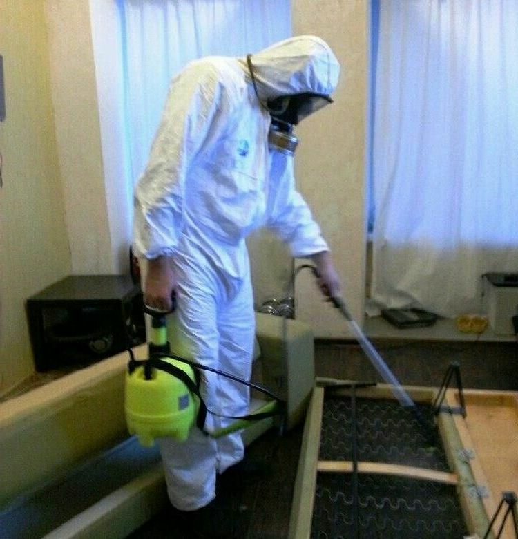 дезинфекция, дезинфекция помещений, дезинсекция клопов туманом, дезинсекция, дезинфекция и дезинсекция