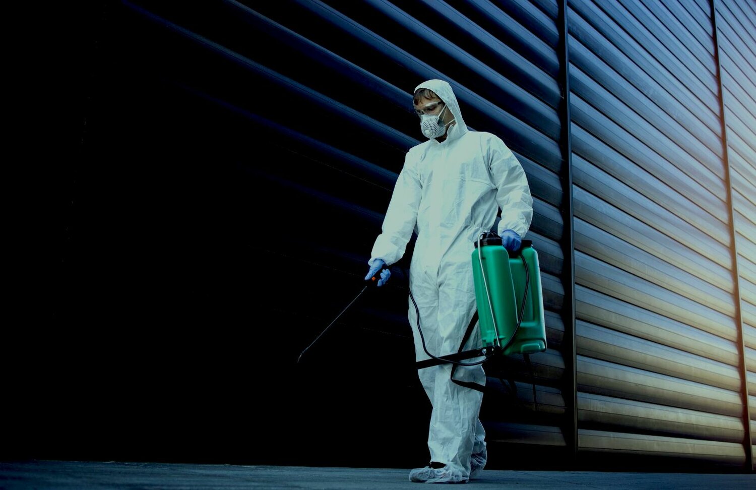 дезинфекция, дезинфектор, дезинсекция, velvet disinfection, обеззараживание