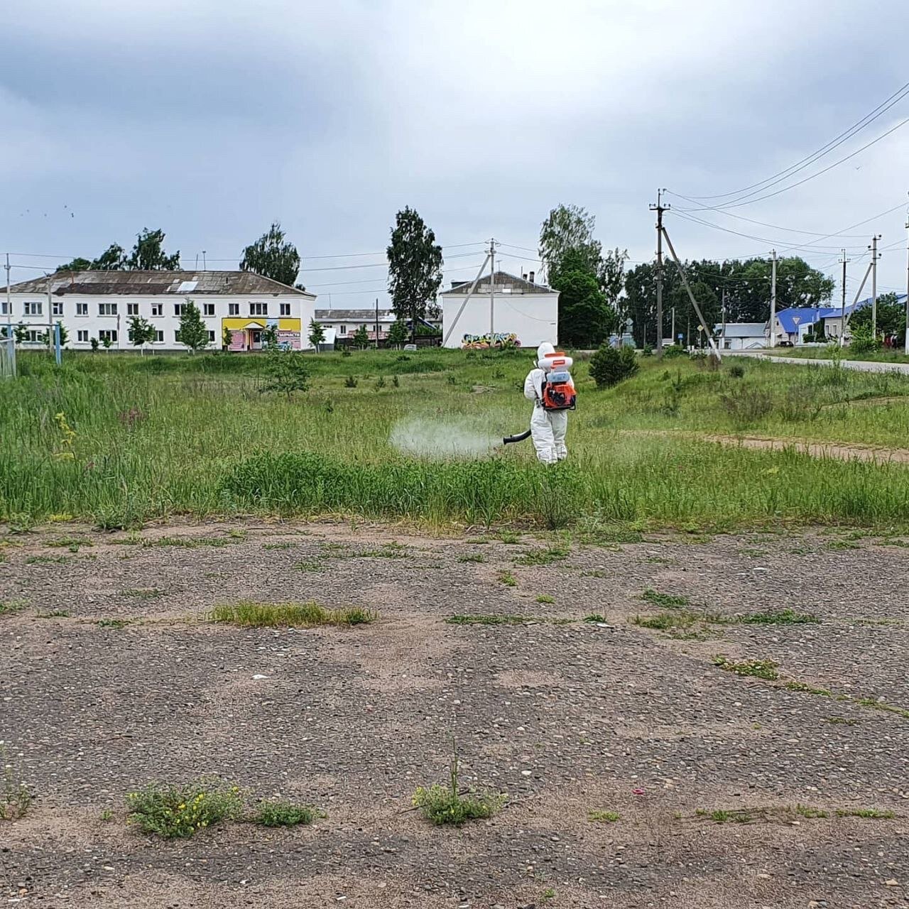 в деревне, участок, дорога в деревне, сельские территории, земельный участок