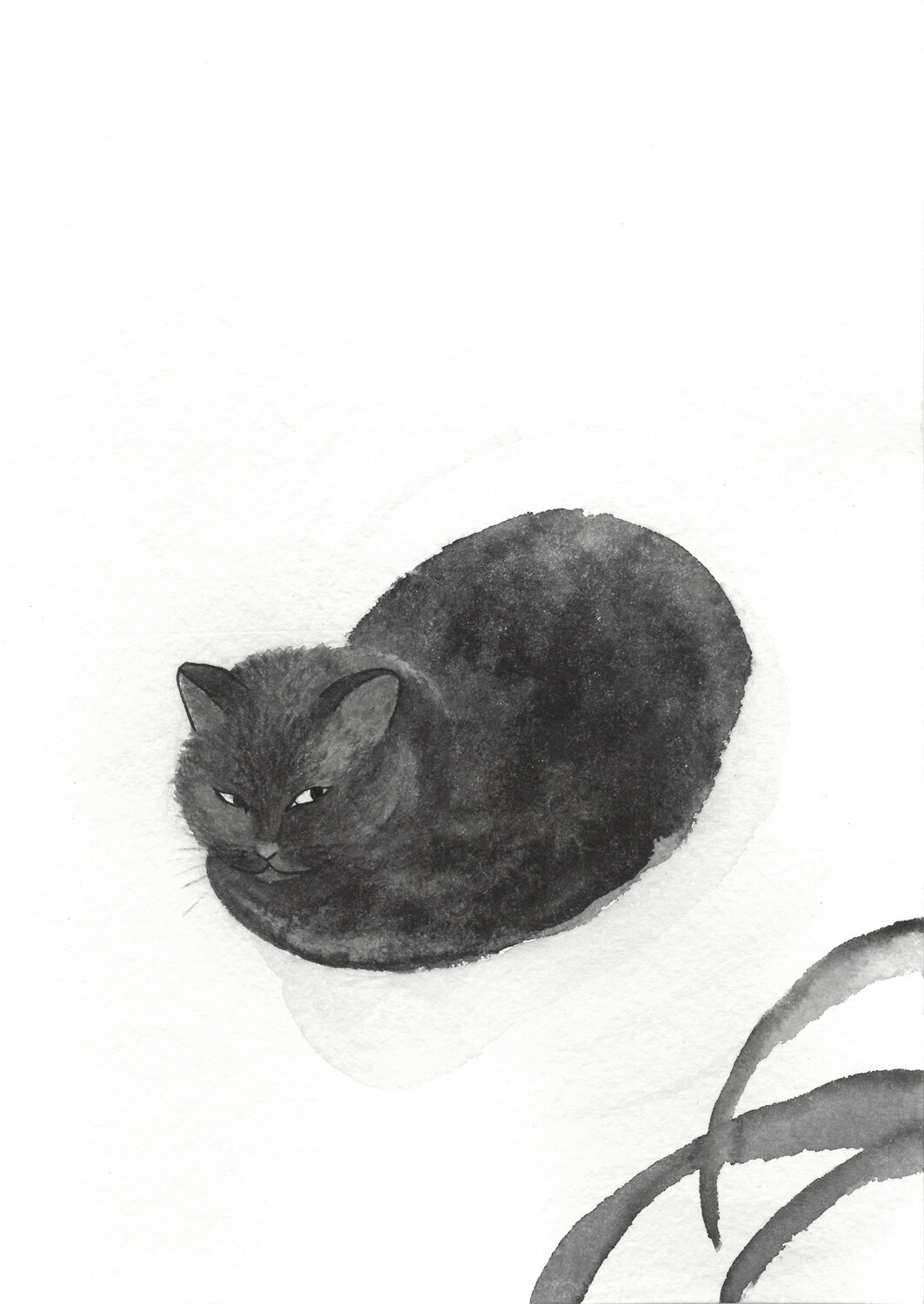 кошка, кот, черный кот, зарисовки кошек, чёрный кот сон иллюстрация