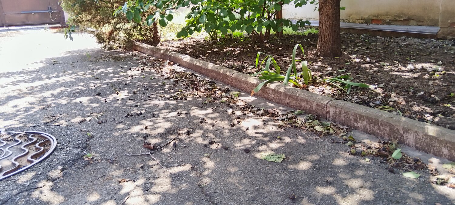 тротуар, асфальт в сквере, грязный двор, дорога, бордюр