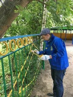 покраска забора, забор в детском саду, покраска забора в детском саду, покрашенный забор, заборы и ограждения