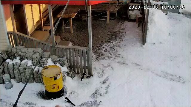�������� �� ����������, ������������ ������������������ ��������������������, �������� ���� ����������, �������������� ������������, ����������������