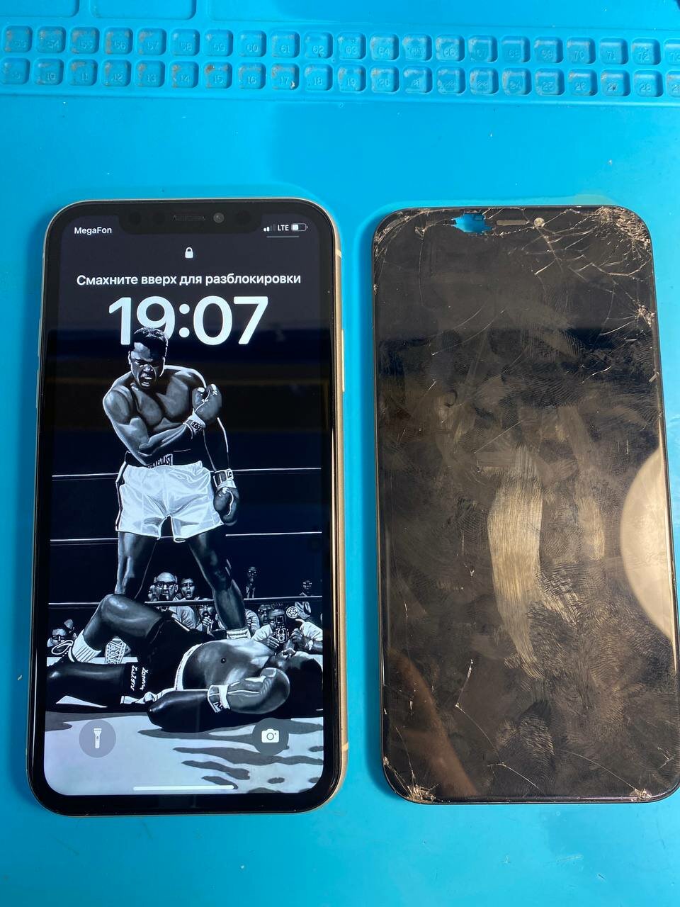 ������������ ������������������, �������������� iphone, ������������������ ��������������, ��������������, ������������������ �������������� ����������������