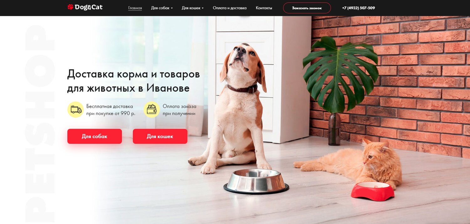 доставка корма, бигль, бигль щенок, домашние питомцы, домашние животные