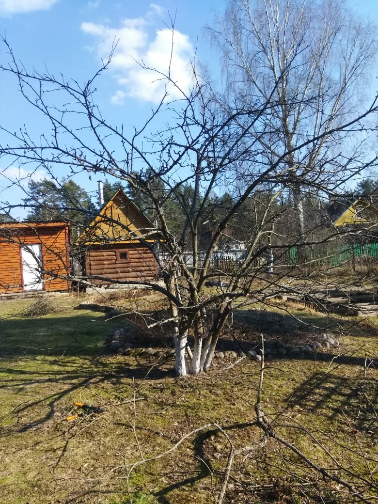 мшинская балтиец, деревни, участок, дача, снт "труд", д. козлово, павлово посадского района