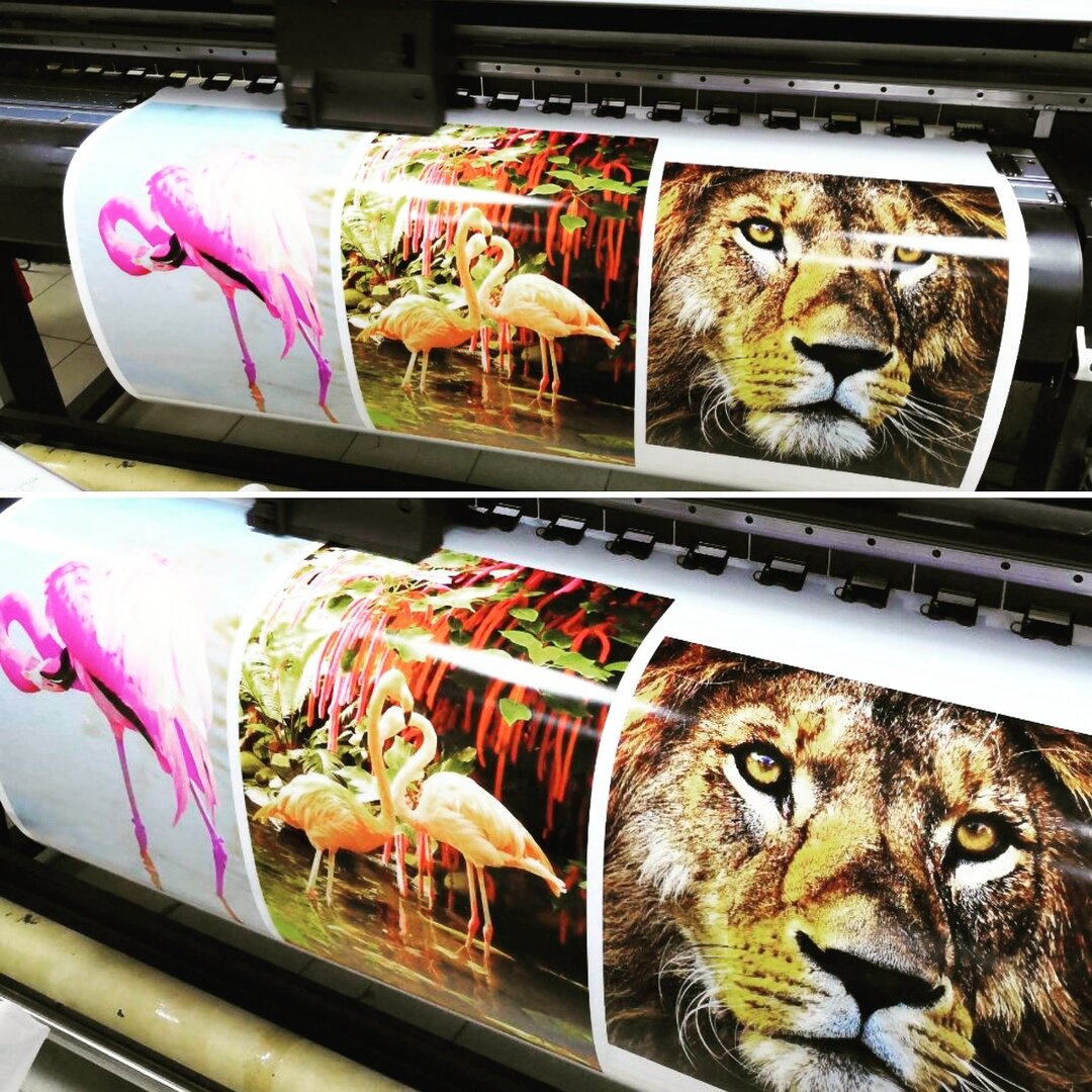 Файл:Dark room.jpg - Википедия