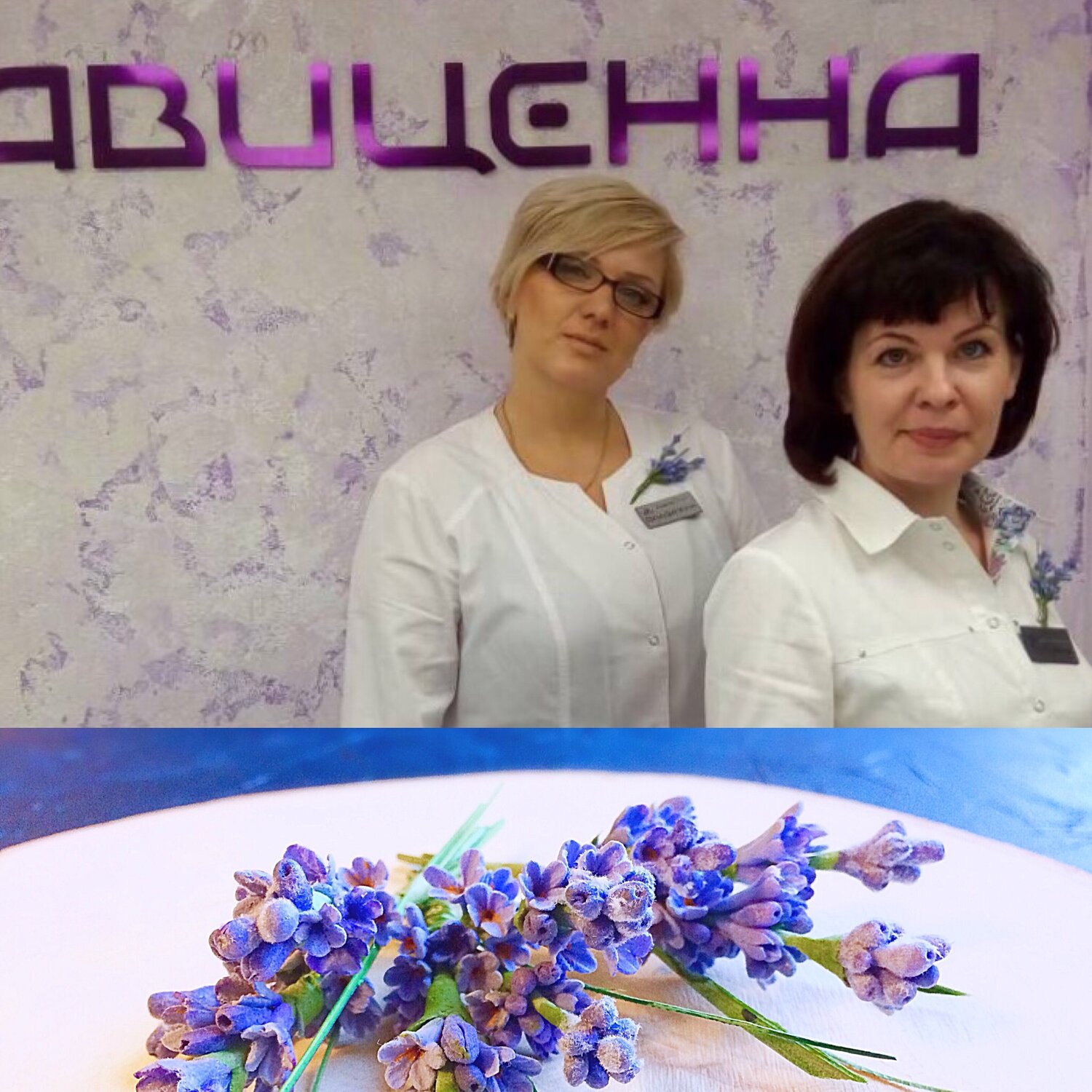 чеснокова ирина николаевна, женщина, елена михайловна лопатина, человек, маслова светлана сергеевна