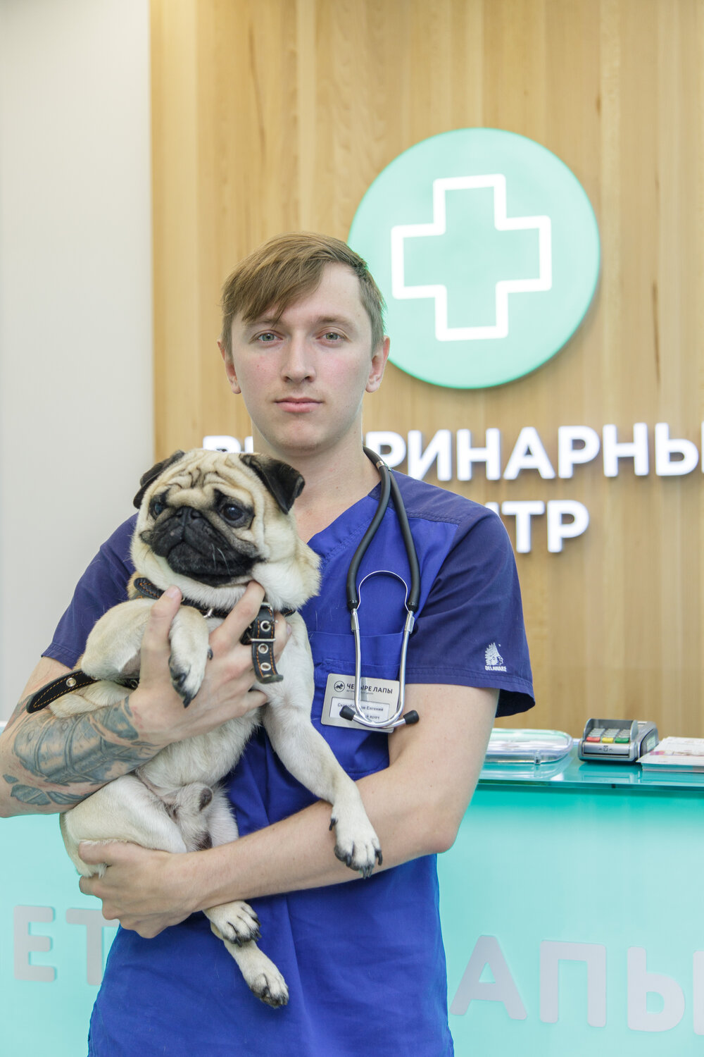ветеринар, мопс доктор, скоробогатов евгений ветеринар, мопс, ветеринар баграт агажанов