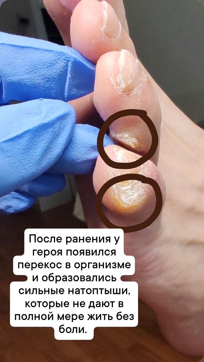 ���������������������� ��������������, ���������������� ������������, ������������ ������������, ������������, ��������������