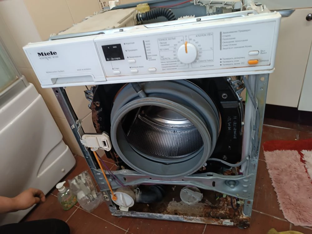 �������������������� ������������ miele, �������������������� ������������ ������������, ������������������ �������������������� ������������, �������������� ��������������, �������������������� ������������