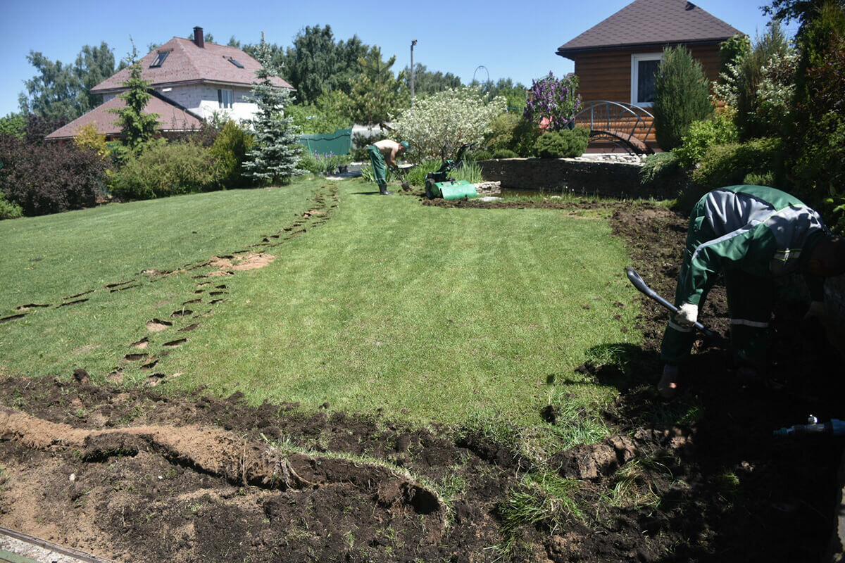 Газон в Москве: 116 ландшафтных дизайнеров со средним рейтингом 4.6 с ...