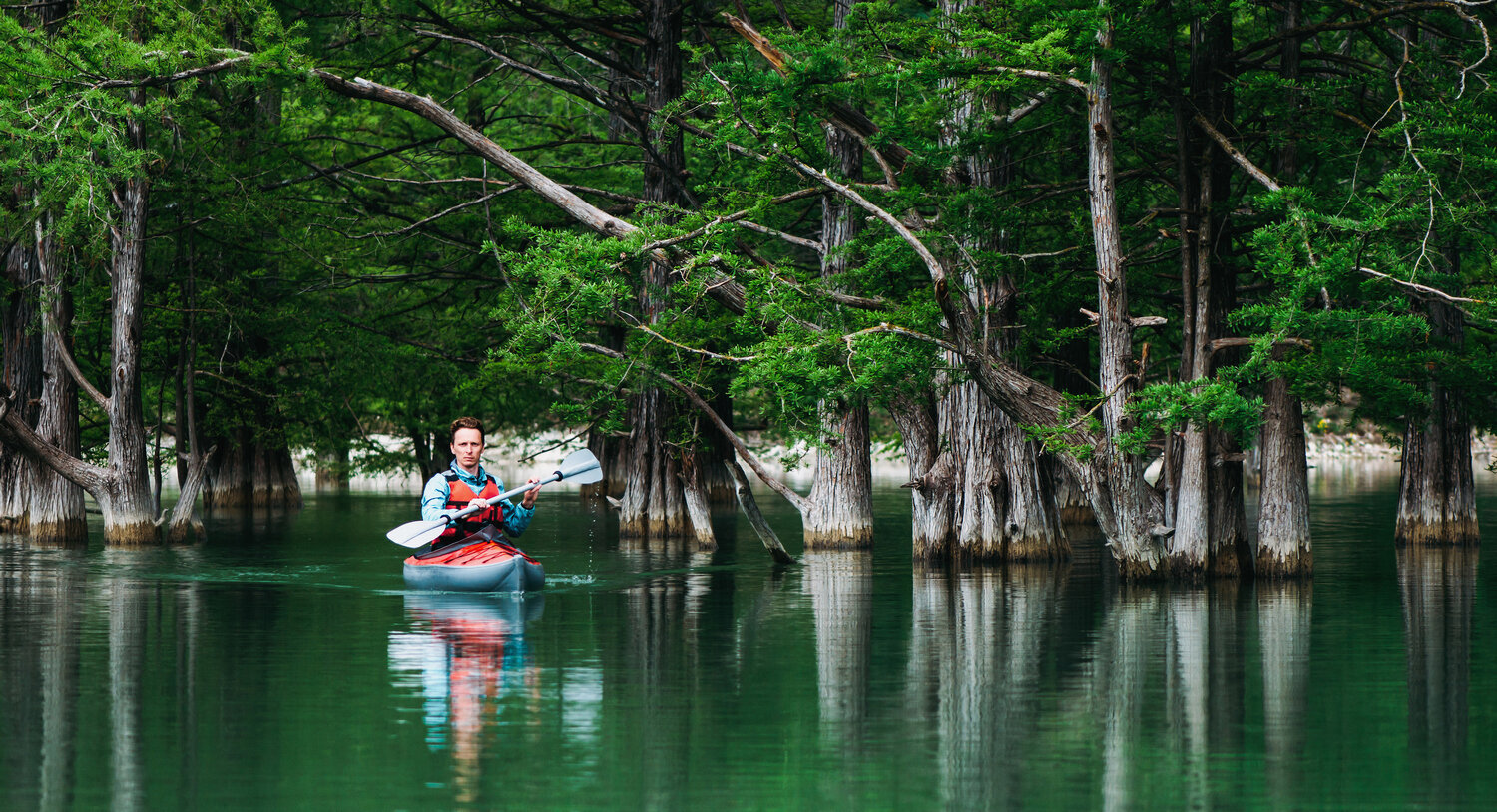 george l smith state park деревья, caddo lake state park, озер, озеро каддо, национальный парк
