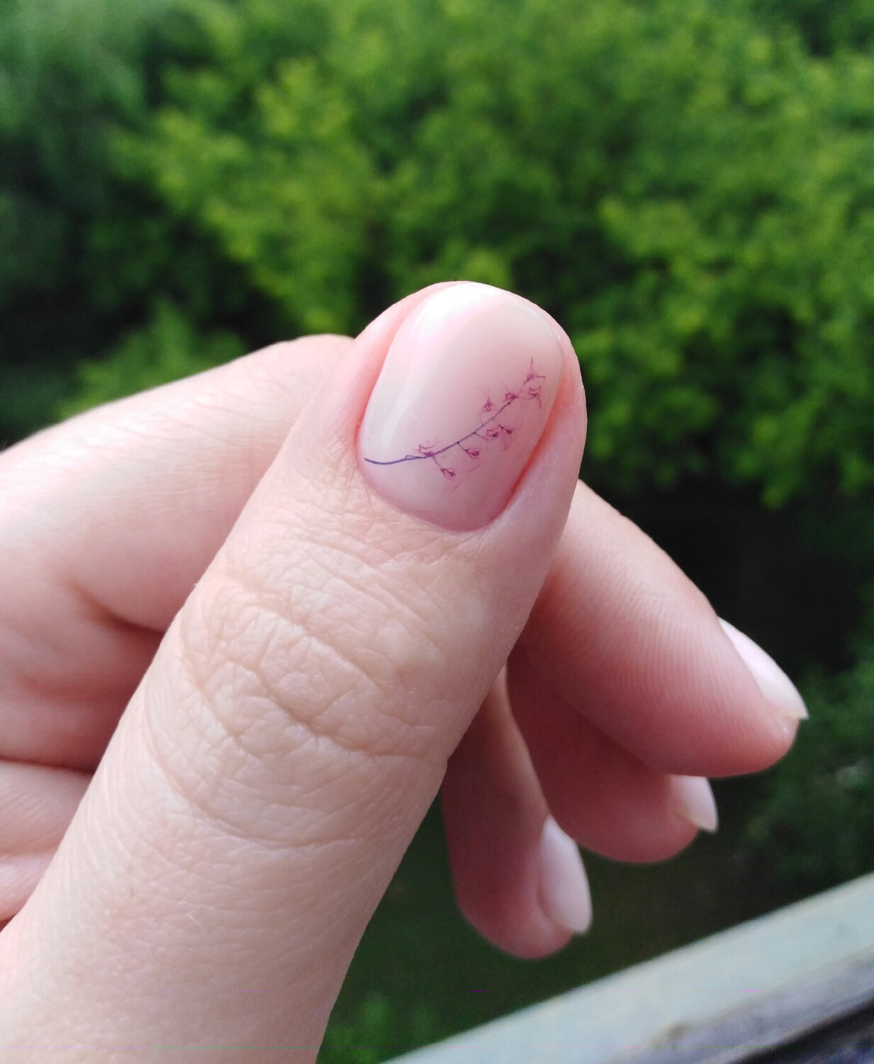 ногти, маникюры, nail, дизайн ногтей, рука