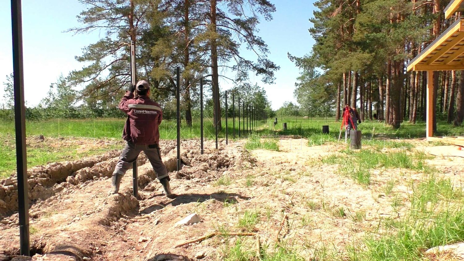 лесное хозяйство, лесоводство, лесничества, лес, лесоводы
