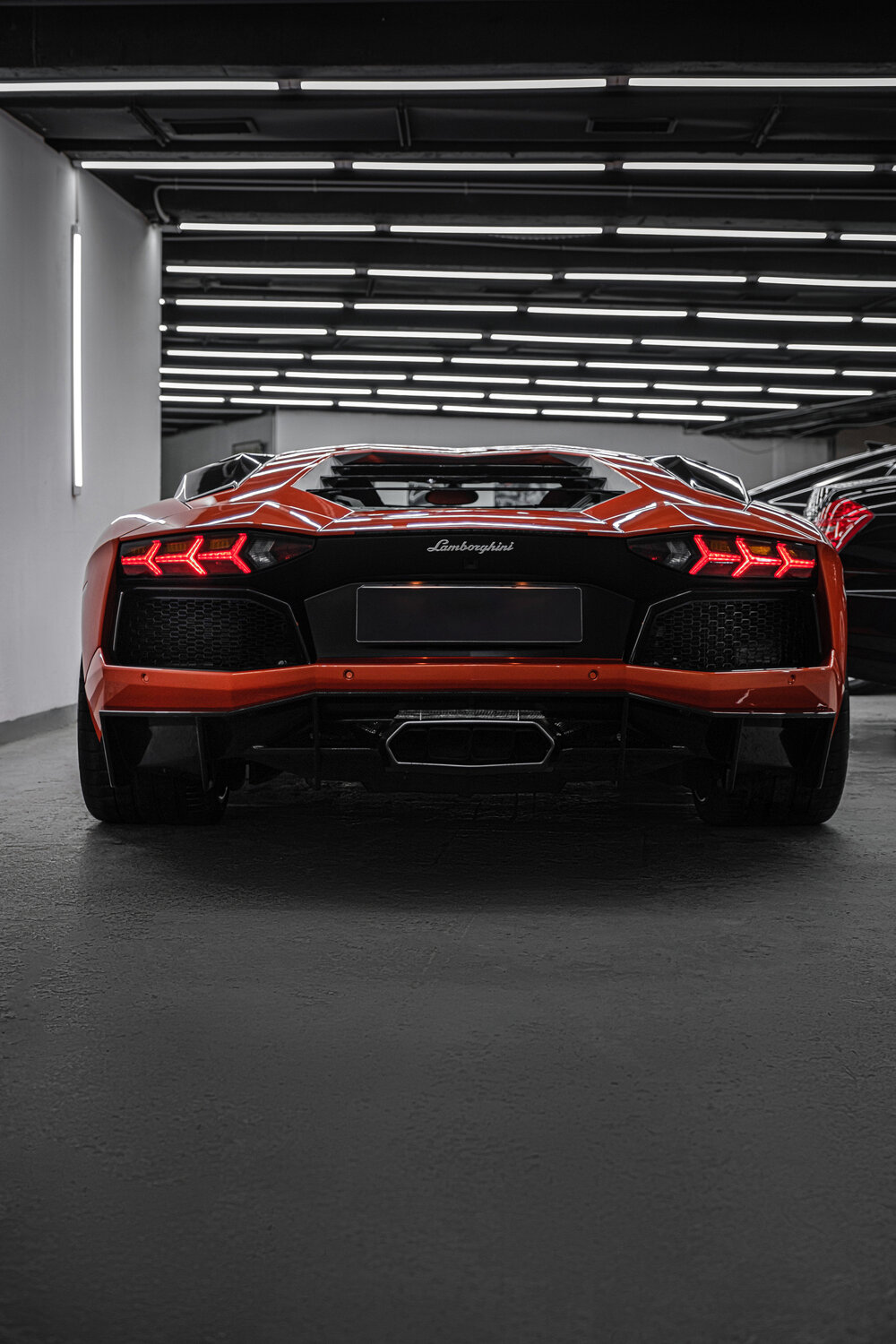 lamborghini aventador, ламборгини авентадор, ламборгини авентадор черно белое, lamborghini aventador roadster 2020, lamborghini