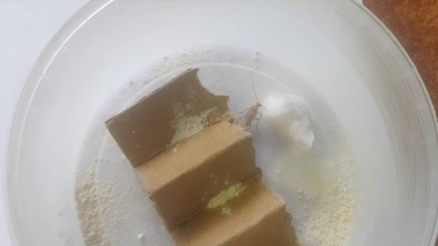 мыло из жира, натуральное мыло, хозяйственное мыло и зубной порошок, sugar 'n spice, живое мыло