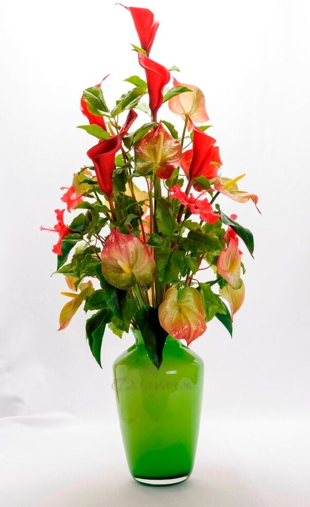 антуриум, антуриум ред виннер, антуриум андре, антуриум андре «arisa pink», антуриум андре микс